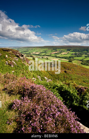 Danbydale, North York Moors National Park, Winter Stock Photo - Alamy