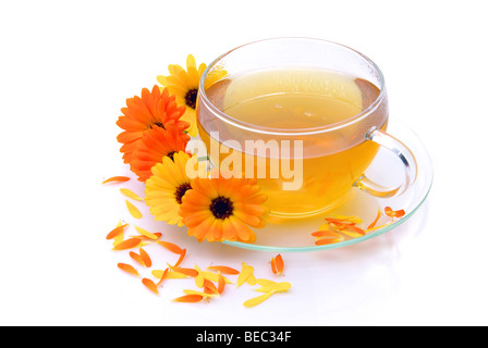 Tee Ringelblume - tea marigold 06 Stock Photo