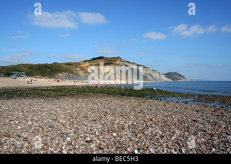 Charmouth Cliffs on a hot sunny day. Stock Photo