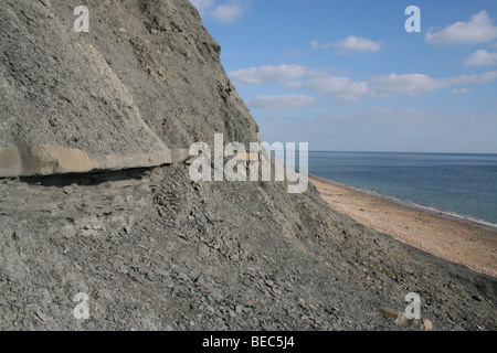 Charmouth Cliffs on a hot sunny day. Stock Photo