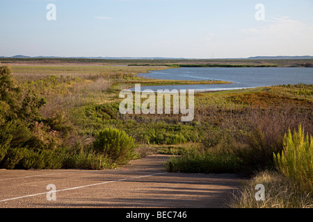 End of boat ramp leading to long term drought condition lake San Angelo State Park San Angelo Texas USA Stock Photo