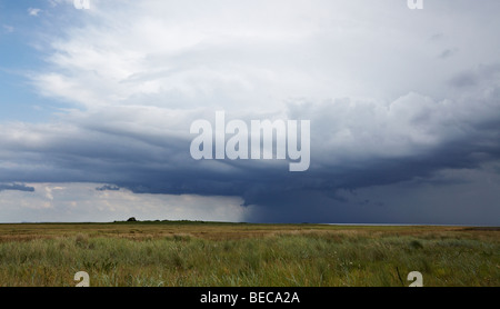 Bad weather clouds, stormy atmosphere over a salt marsh, Mellum Island, Lower Saxony Wadden Sea National Park, Unesco World Her Stock Photo