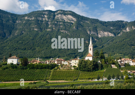 Vineyard, mountain village, Kaltern or Caldaro, Trentino, Alto Adige, Italy, Europe Stock Photo