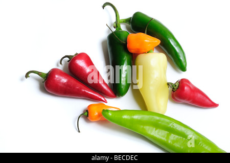 Chili peppers--Poblano Chili, Jalapeno, Anaheim, Red Fresno (red); Habanero, Yellow Hots Stock Photo