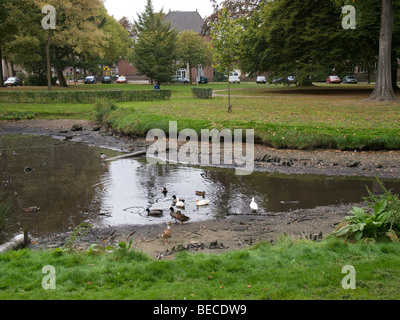 Pond in a park in Vught with very low water level. Vught, Noord Brabant, the Netherlands Stock Photo