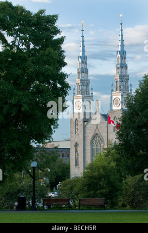 Cathedral Basilica of Notre-Dame in Ottawa, Ontario, Canada. Stock Photo