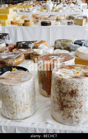 Cheeses on display at the World cheese awards 2009 in Las Palmas, Gran Canaria Stock Photo