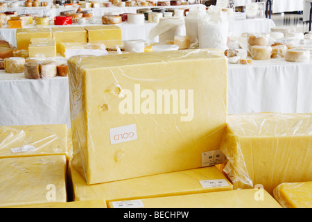 Gold medal winning cheeses at the World cheese awards 2009 in Las Palmas, Gran Canaria Stock Photo