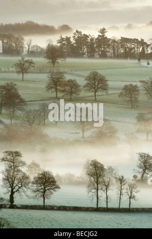 View from Pitch Hill of morning mist, England, Surrey, near Ewhurst Stock Photo