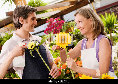 Woman and a man working in a greenhouse Stock Photo