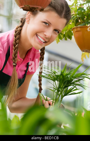 Woman working in a greenhouse Stock Photo