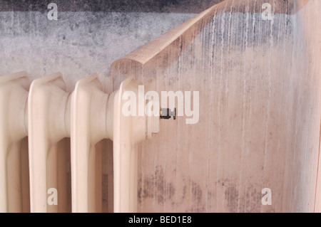 Mould on a wall and on wallpaper behind a radiator Stock Photo