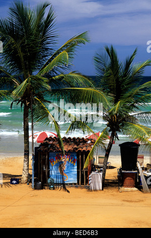 Hut under palm trees on the beach, Playa Guacuco on the Caribbean Coast, Isla de Margarita, Caribbean, Venezuela, South America