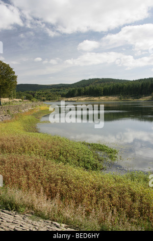 East Cheshire, England. The North West Water managed Ridgegate Reservoir, with Macclesfield Forest in the background. Stock Photo