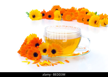 Tee Ringelblume - tea marigold 03 Stock Photo