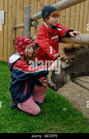 Children stroking a donkey at the Wildpark Oberreith Wildlife Park, near Wasserburg, Upper Bavaria, Germany, Europe Stock Photo