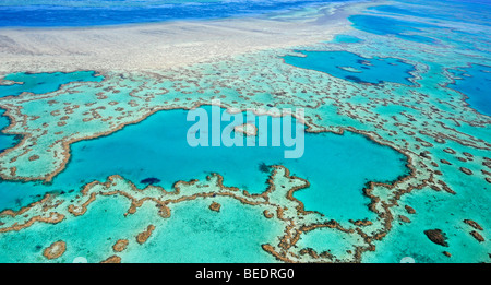 Aerial view of the ocean floor, Heart Reef, heart-shaped reef, Great Barrier Reef World Heritage Area, Great Barrier Reef, UNES Stock Photo