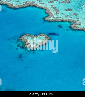 Aerial view of the ocean floor, Heart Reef, heart-shaped reef, Great Barrier Reef World Heritage Area, Great Barrier Reef, UNES Stock Photo