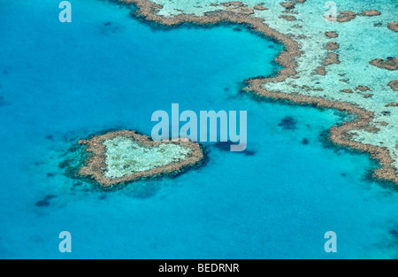 Aerial view of the ocean floor, Heart Reef, heart-shaped reef, Great Barrier Reef World Heritage Area, Great Barrier Reef, UNES Stock Photo