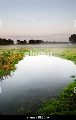 Water Meadows Sudbury Suffolk England Stock Photo
