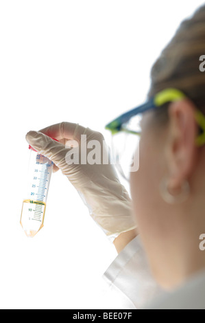 Examining a fluid, lab scene Stock Photo