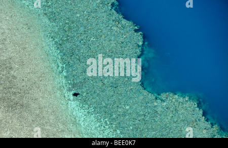 Aerial view of a giant manta ray (Manta birostris), Great Barrier Reef World Heritage Area, Great Barrier Reef, UNESCO World He