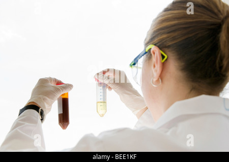Examining a fluid, lab scene Stock Photo