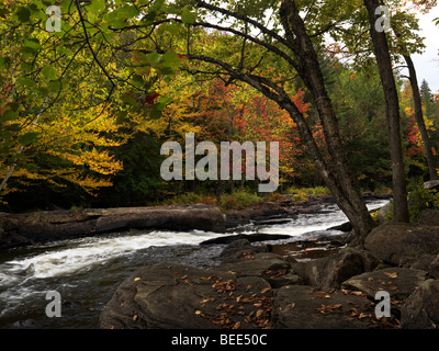 Oxtongue Rapids. Beautiful fall nature scenery. Stock Photo