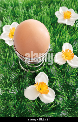 Brown egg in a wire egg cup, on an artificial flower meadow Stock Photo