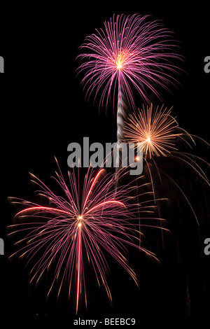 Beautiful fireworks fill the night time sky Stock Photo