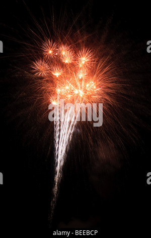 Beautiful fireworks fill the night time sky Stock Photo