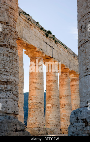 Doric Temple of Segesta, detail, Sicily, Italy, Southern Europe Stock Photo