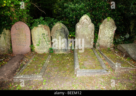 Old mildewed tombstones stand in line in Highgate cemetery north London England Stock Photo