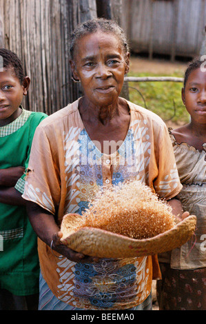 Madagascar - Woman cleaning rice for her family in Ebakika Village. Stock Photo