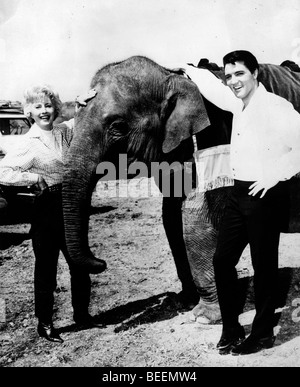 Elvis Presley and Barbara Stanwyck in the film 'Roustabout' Stock Photo