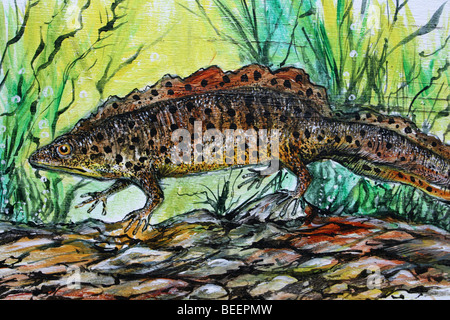 Painting Of A Great Crested Newt Taken At Martin Mere WWT, Lancashire, UK Stock Photo