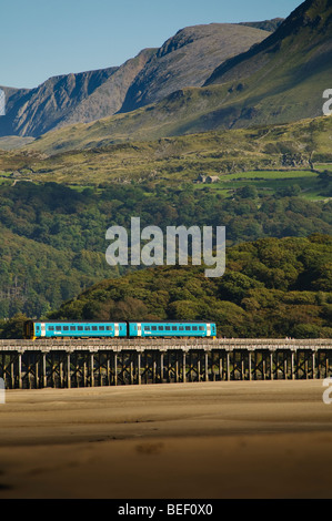 ARRIVA Wales train crossing the wooden, bridge over the Mawddach Estuary, Snowdonia National Park, Gwynedd, North Wales UK Stock Photo