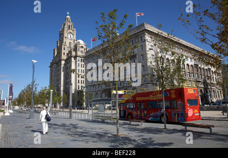 red sightseeing liverpool tour bus on canada boulevard in front of the the cunard building one of liverpools three graces Stock Photo