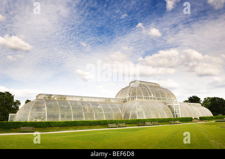 View of the rear of Palm House in Kew Gardens. Stock Photo