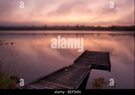 Lake Cassidy sunrise in fog with dock Stock Photo