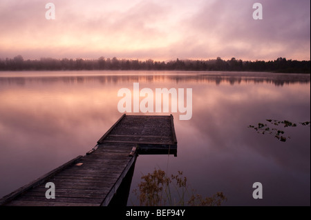 Lake Cassidy sunrise in fog with dock Stock Photo