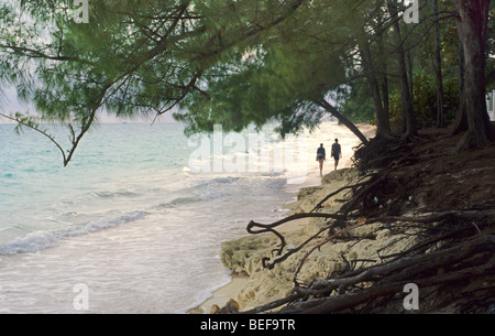 couple walking on the beach, Lucaya, Bahamas, Caribbean Stock Photo