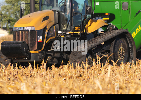 A Caterpillar or Cat Challenger track-style farm tractor pulls a grain wagon through a corn field at harvest time. Stock Photo