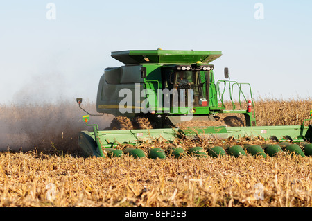 A John Deere combine harvests corn Stock Photo