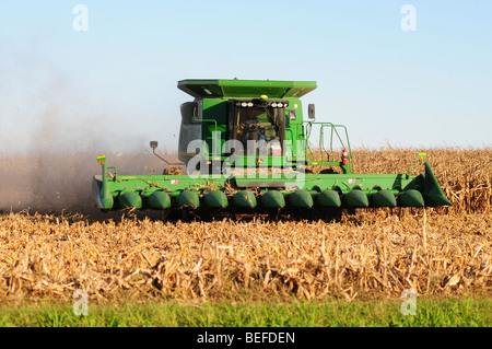 A John Deere combine harvests corn Stock Photo