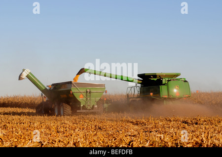 A John Deere combine harvests corn Stock Photo