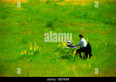 Businessman using table, computer and cellphone in his outdoor office of grass and wild flowers Stock Photo