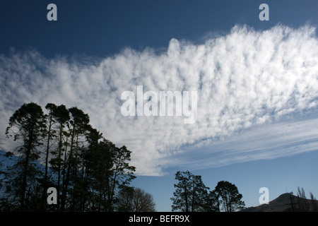 Dramatic Altocumulus Sky Taken at Underburg / Himeville, KwaZulu-Natal, South Africa Stock Photo