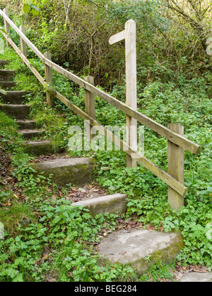 Steps leading off the Tissington Trail, Derbyshire England UK Stock Photo