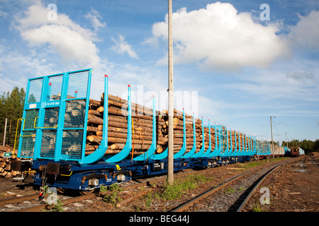 Train load of spruce  ( picea abies ) logs , Finland Stock Photo